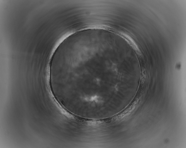 X0000100330804200806121126