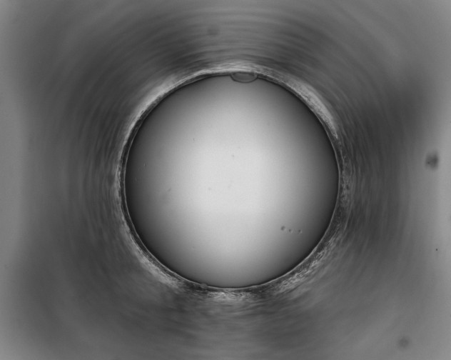 X0000100330805200806121126