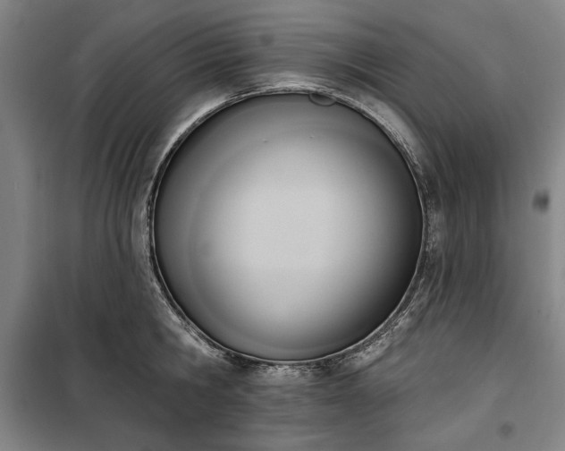 X0000100330806200806121126