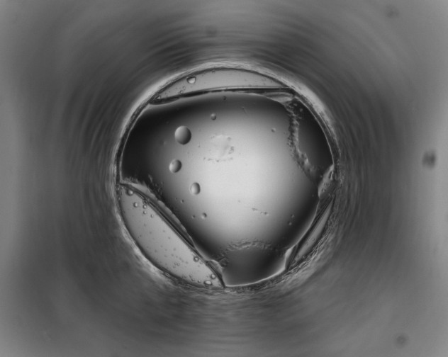 X0000100330807200806121126