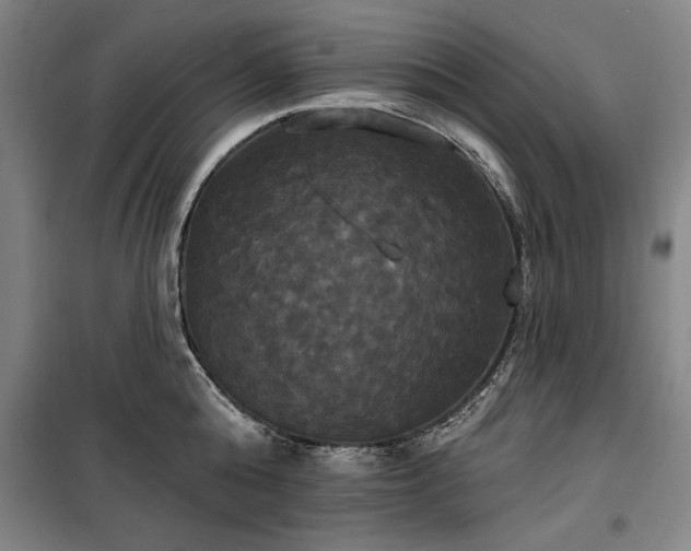 X0000100330808200806121126