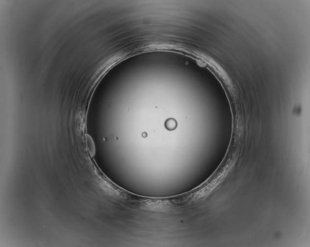 X0000100330809200806121126