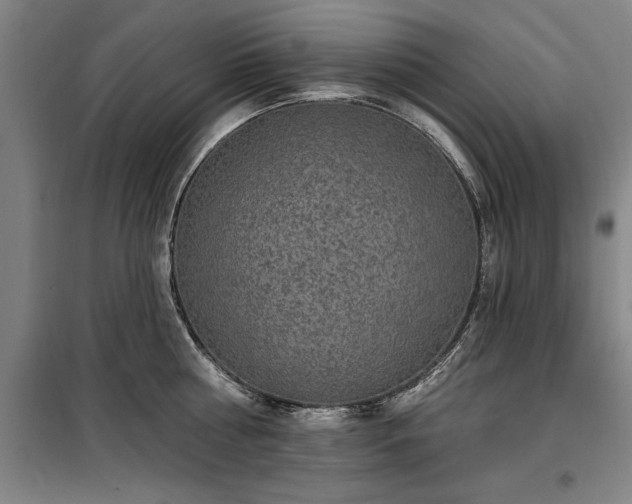 X0000100330810200806121126