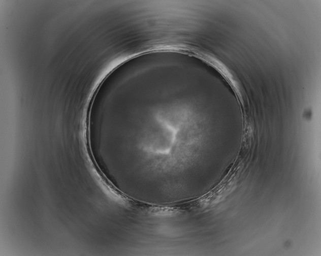 X0000100330811200806121126