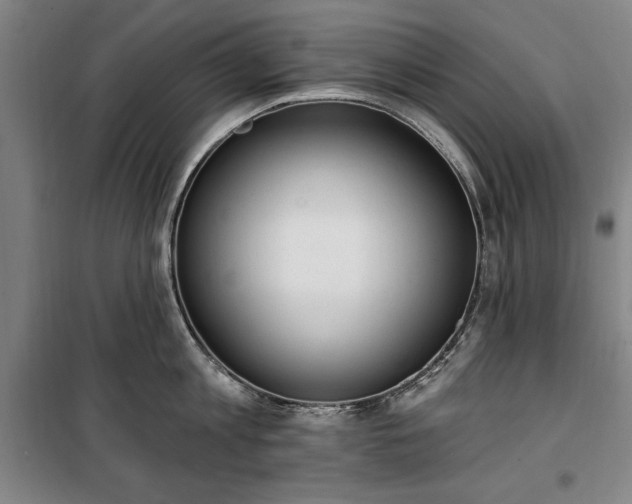 X0000100330813200806121126