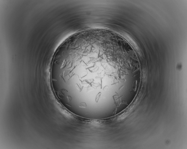 X0000100330814200806121126
