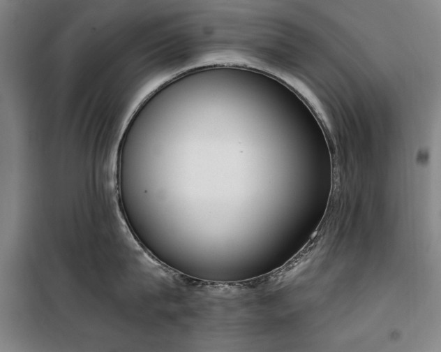 X0000100330815200806121126