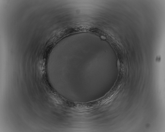 X0000100330818200806121125