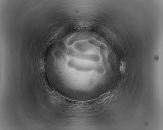 X0000100330819200806121125