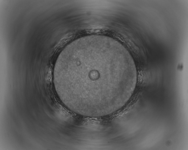 X0000100330820200806121125