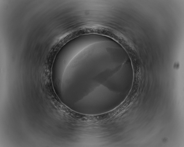 X0000100330822200806121125