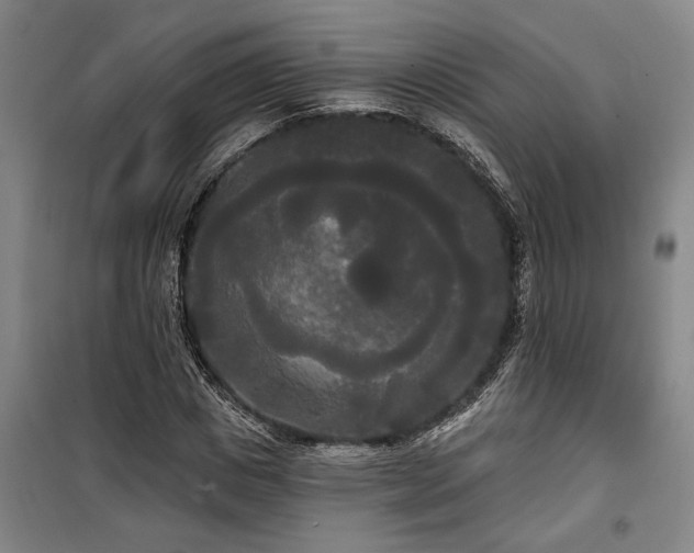 X0000100330825200806121125