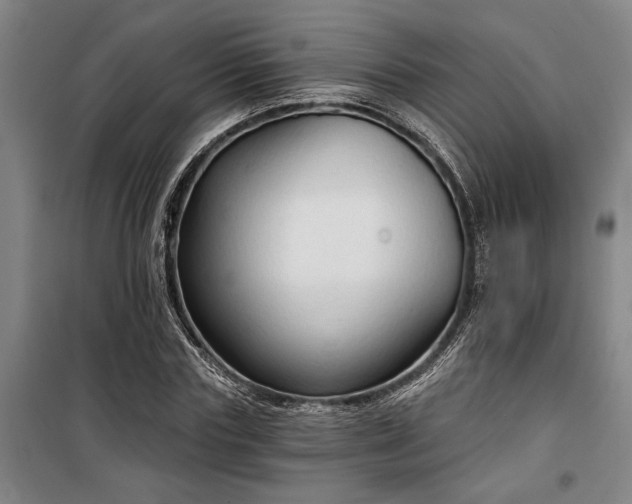 X0000100330827200806121125