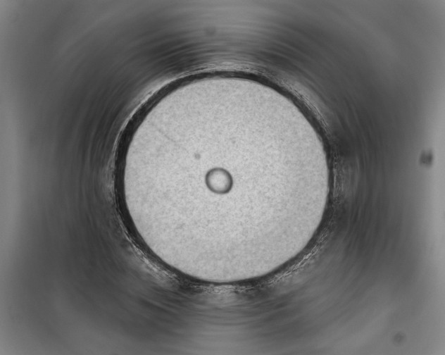 X0000100330828200806121126