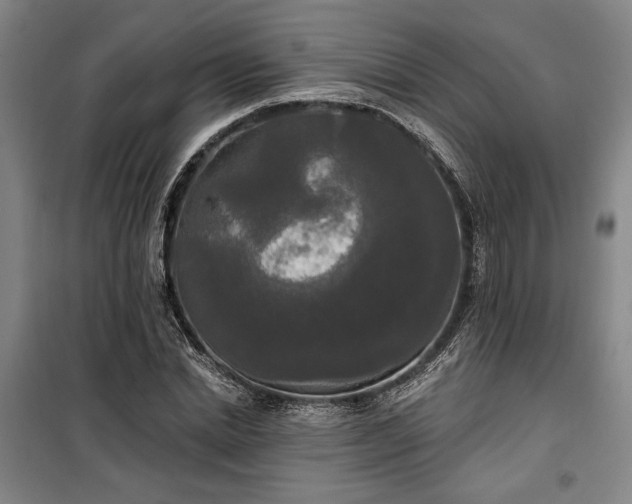 X0000100330830200806121126