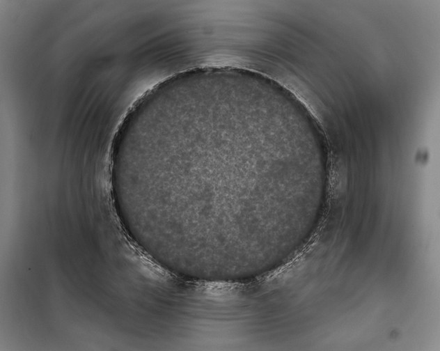 X0000100330832200806121126