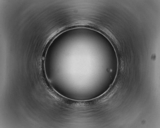 X0000100330834200806121126