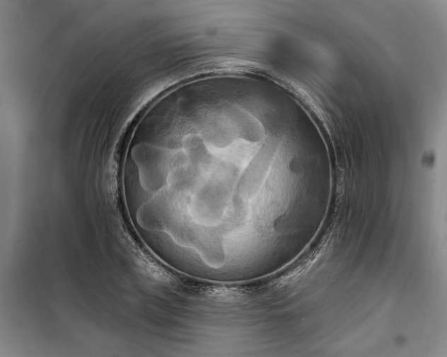 X0000100330835200806121126