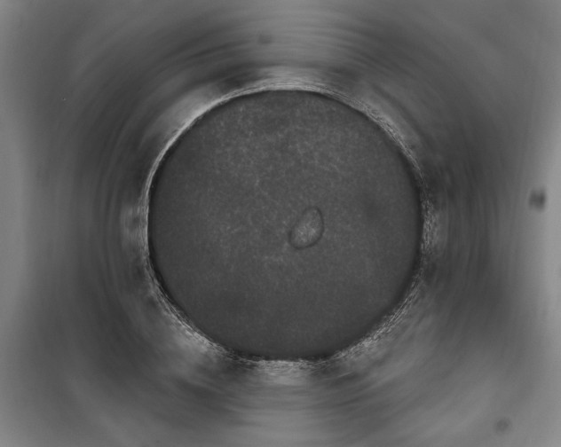 X0000100330836200806121126