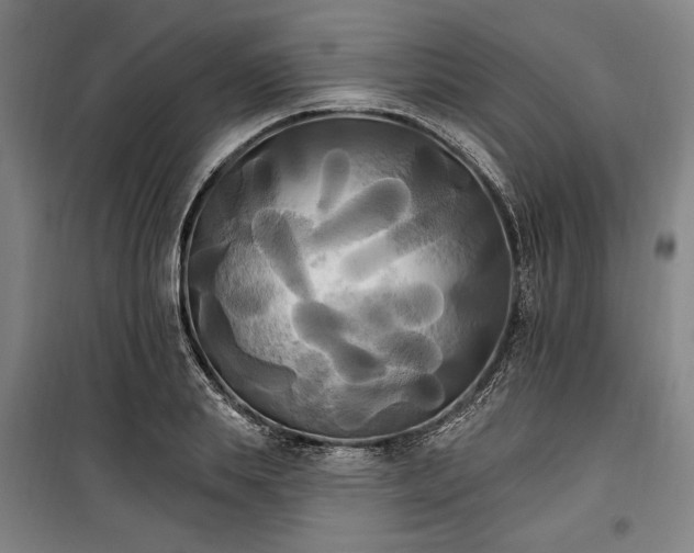 X0000100330839200806121126