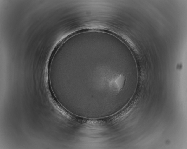 X0000100330840200806121126