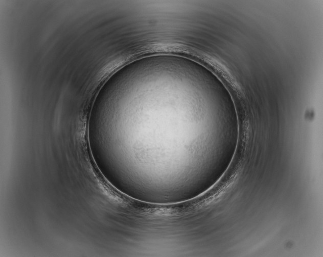 X0000100330841200806121126