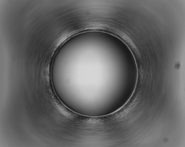 X0000100330842200806121126