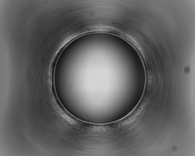 X0000100330843200806121126