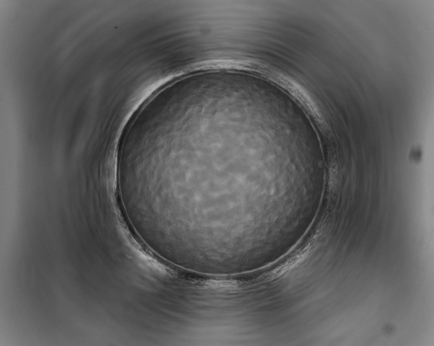 X0000100330844200806121126