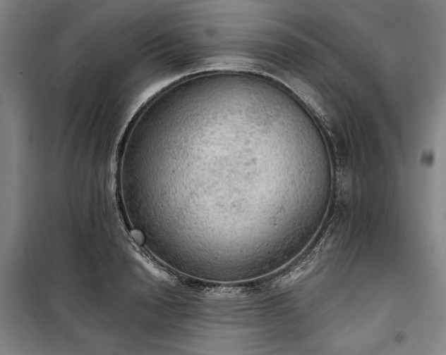 X0000100330846200806121126