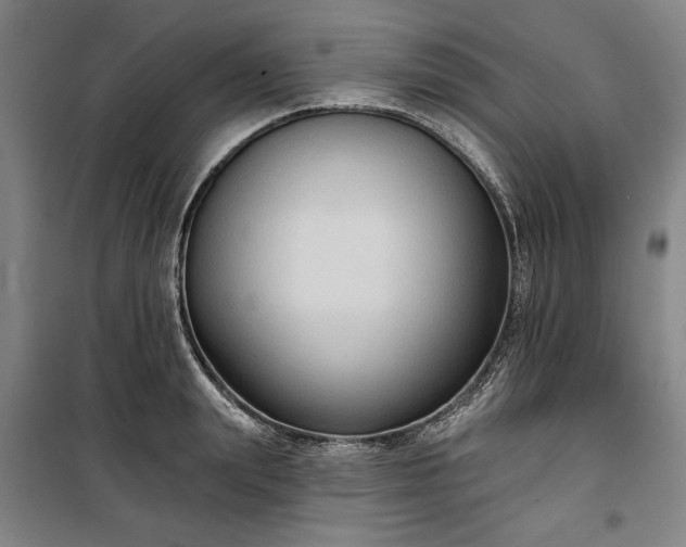 X0000100330847200806121126