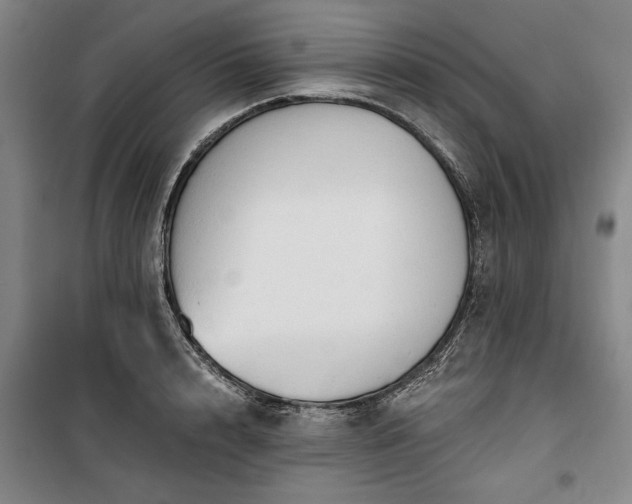 X0000100330848200806121126