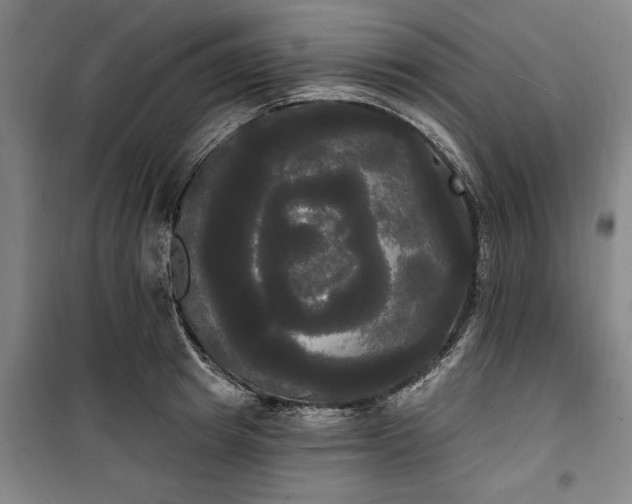 X0000100330849200806121126