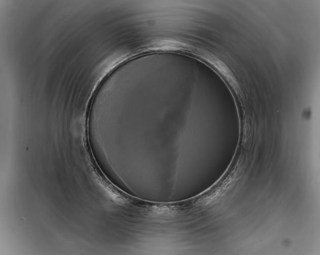 X0000100330850200806121126