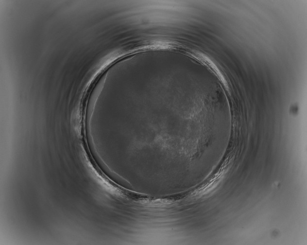 X0000100330851200806121126