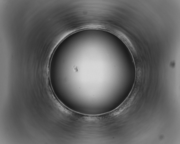 X0000100330852200806121126