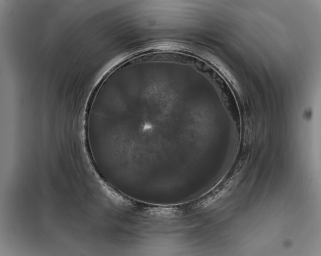 X0000100330853200806121126