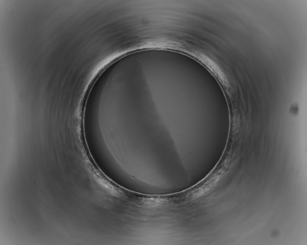 X0000100330854200806121126