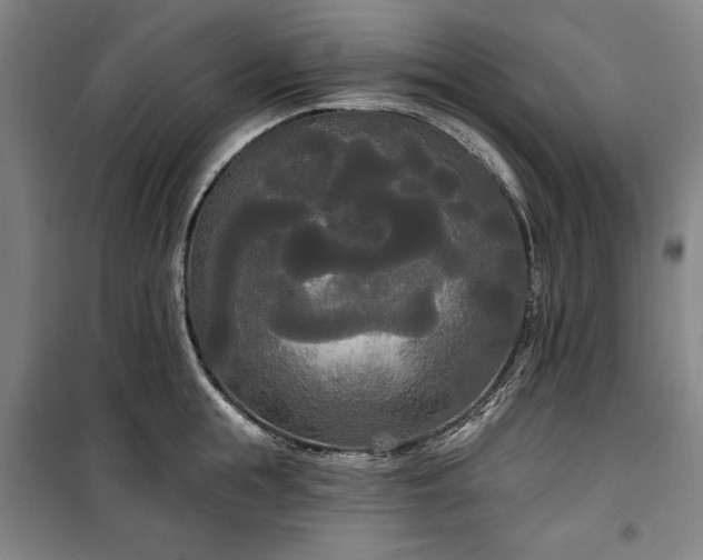 X0000100330855200806121126