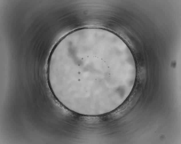 X0000100330856200806121126