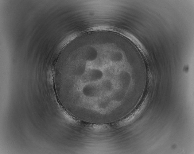 X0000100330857200806121126