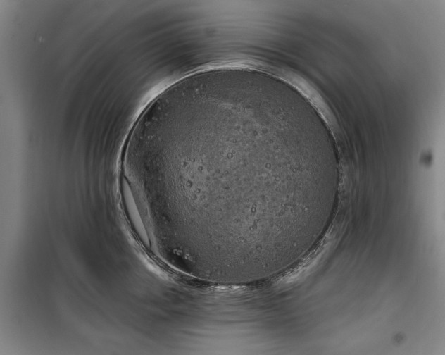 X0000100330858200806121126