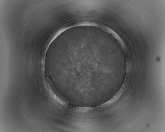 X0000100330860200806121126