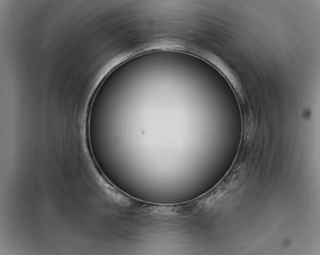 X0000100330861200806121126