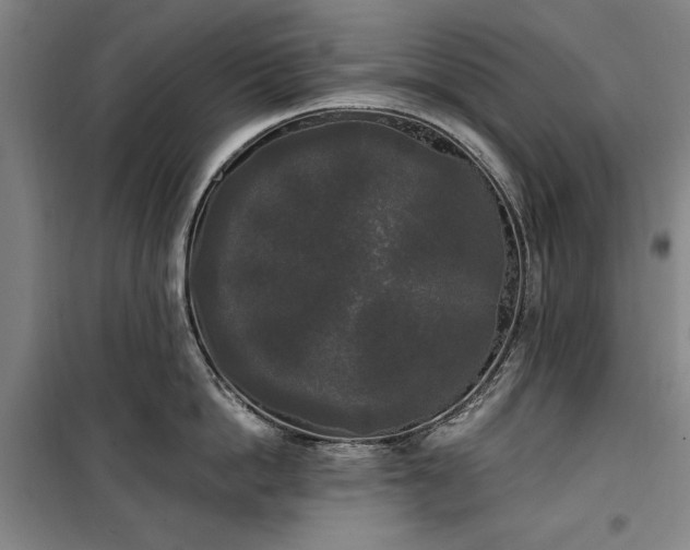 X0000100330862200806121126