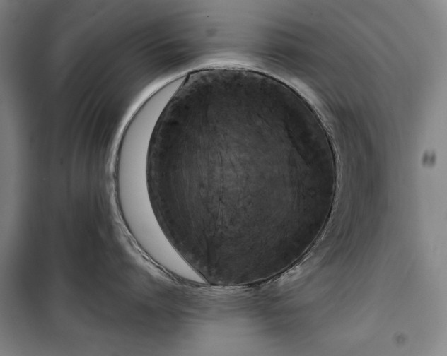 X0000100330864200806121126