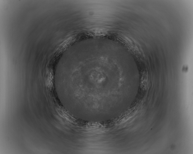 X0000100330866200806121125