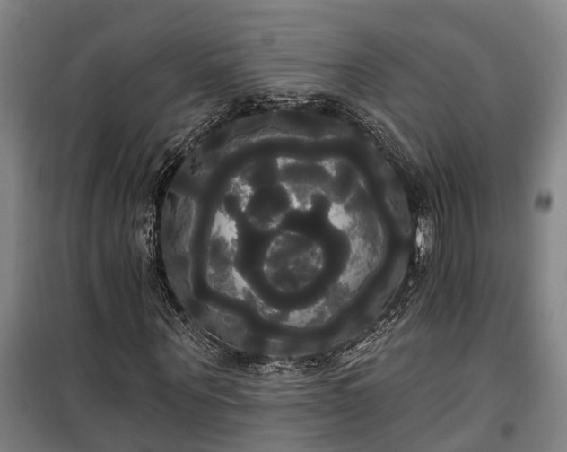 X0000100330867200806121125