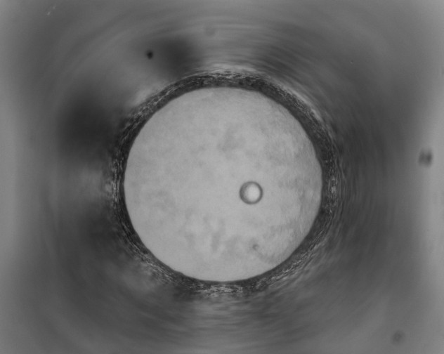 X0000100330869200806121125