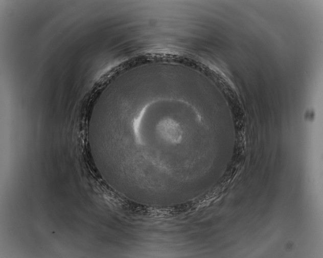 X0000100330870200806121125